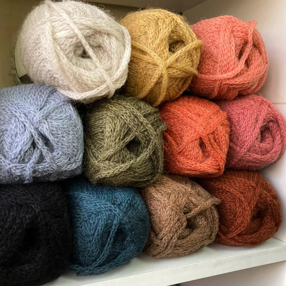 Alpaca 3